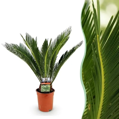 Green boutiQ