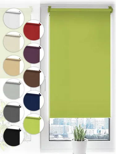 Jalousien & Rollos Grün von Sonello