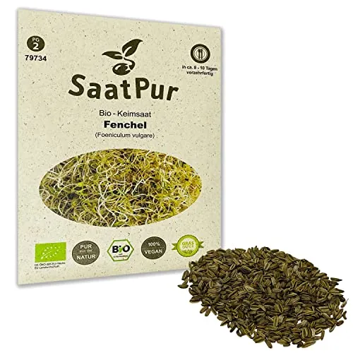 Fenchel Sprossen BIO Keimsprossen von SaatPur - Keimsaat Microgreen - 10g
