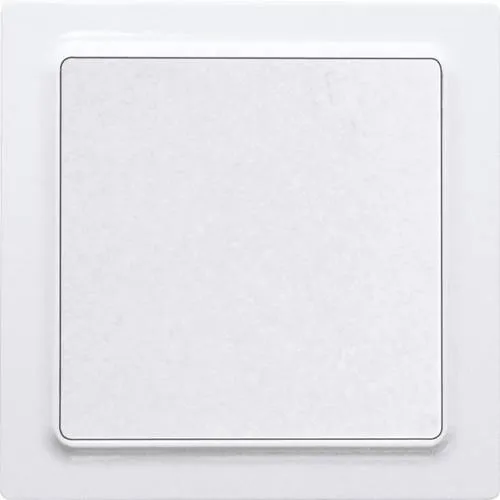 Eltako F2T55E-wg Funktaster 55x55mm von Eltako