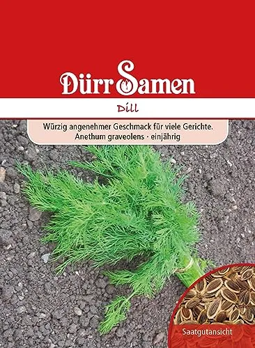 Dürr-Samen - Dill blattreicher Saatgut