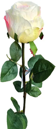 artplants Kunstrose SUNJIK, Creme-rosa, 75cm