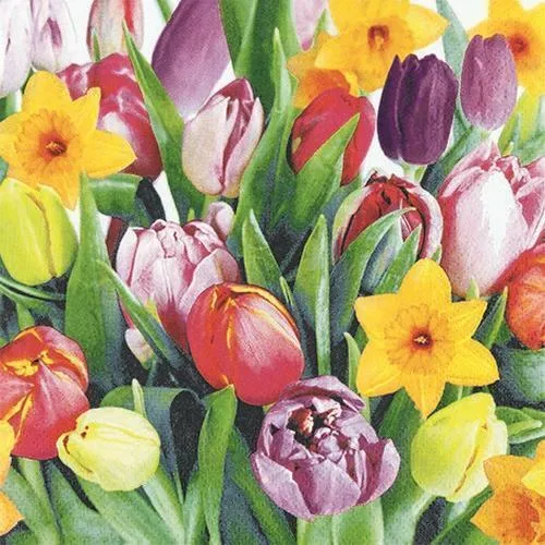 Servietten Blumen Bouquet of Tulips Narzissen Tulpen Frühling Deko 33x33cm 20