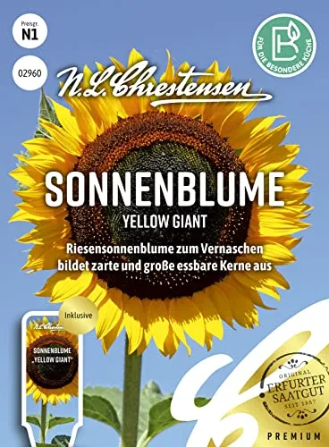 Sonnenblume Yellow Giant Samen, Saatgut