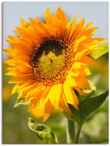 Poster & Bildende Kunst Gelb von ARTland