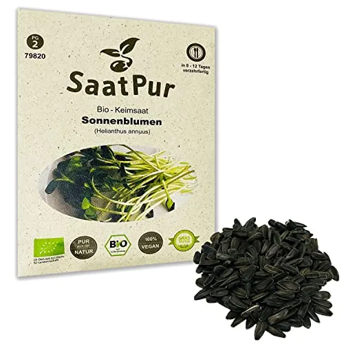 Sonnenblumen BIO Keimsprossen von SaatPur - Sprossen, Microgreens - 50g