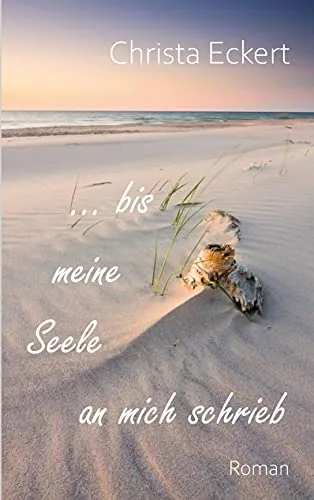 Bis meine Seele an mich schrieb: Roman