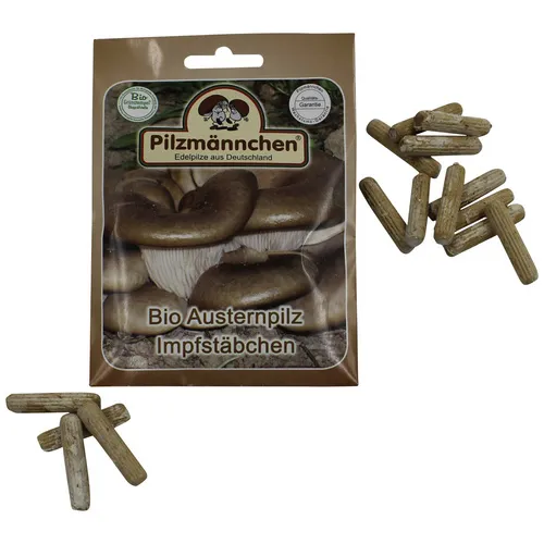 BIO Austernpilz-Impfstäbchen