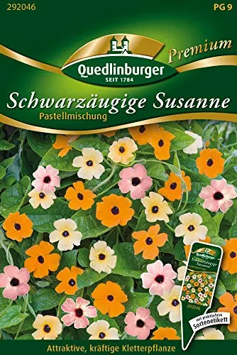 Produktbild Schwarzäugige Susanne, Pastell Selektion