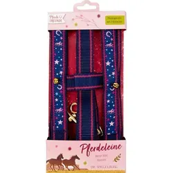 Sattel- & Zaumzeug von Coppenrath Verlag