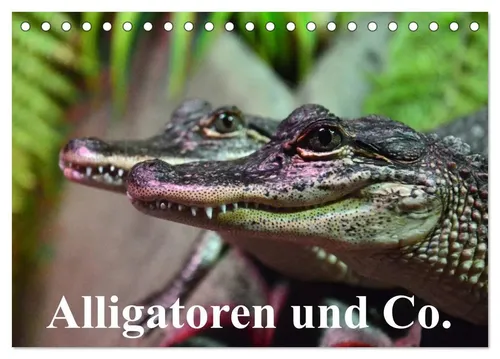 Elisabeth Stanzer | Alligatoren und Co. (Tischkalender 2026 DIN A5 quer),...