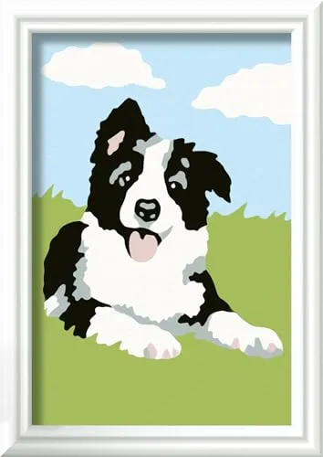 Ravensburger CreArt 23759 - Border Collie Welpe - Malen nach Zahlen Hund für Kinder ab 7 Jahre, Malset mit Rahmen, Pinsel und Acrylfarben, Geschenk für Mädchen und Jungen