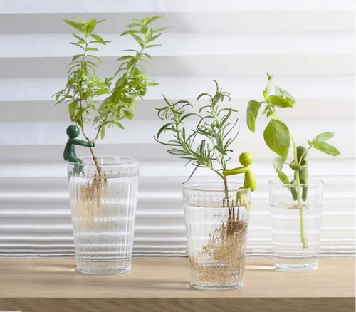 Leafriend Anzuchthelfer 3-er Set von MAGS Vertrieb GmbH