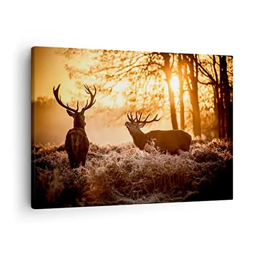 Bilder auf Leinwand Deer Heidekraut Tier Leinwandbild mit Rahmen 70x50cm Wandbilder Dekoration Wohnzimmer Schlafzimmer Küche Deko Klein Wanddeko Bild Wand Kunstdruck Art Wall Decor Canvas AA70x50-3043