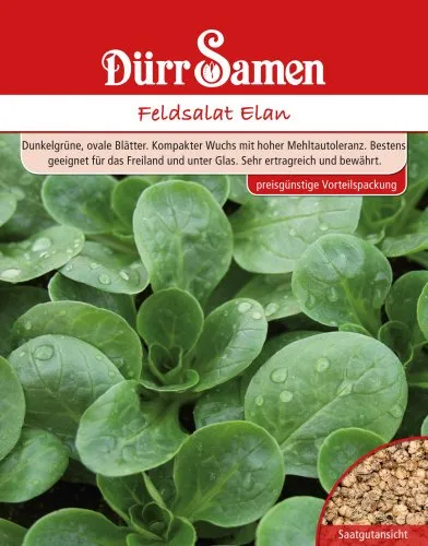 Dürr-Samen - Feldsalat Elan (Vorteilspackung) Saatgut