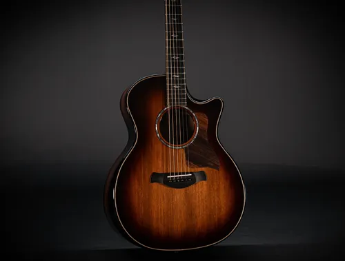Taylor Builder's Edition 814ce – Hochwertige Akustikgitarre von Taylor