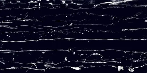 Bodenfliese Feinsteinzeug Prothro Black 60 x 120 cm - Feinsteinzeugfliesen in elegantem Schwarz, ideal für moderne Wohnräume und besonders pflegeleicht.