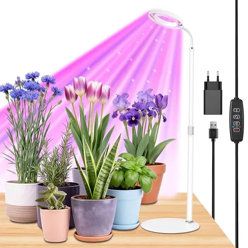 Czoumu Weißes Vollspektrum-Halo-Pflanzenlicht für den Schreibtisch, 8 W, höhenverstellbar 30–60 cm, 3/9/12-Stunden-Timer, 3-farbiger LED-Ring für Setzlinge und Sukkulenten