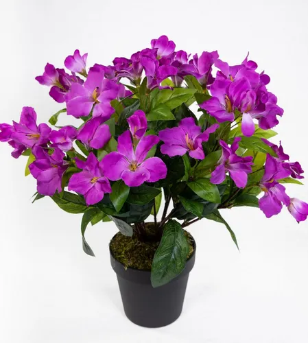 Kunstblume Großer Hibiskus 42cm im Topf - Naturgetreue Kunstblume in Dunkellila, ideal für pflegeleichte Raumgestaltung mit 22 Blüten und 14 Knospen, schon im Topf für sofortige Dekoration.