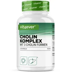vit4ever Cholin Komplex - Leberunterstützung mit einem hochwertigen Cholin-Komplex, der drei synergistische Cholin-Varianten vereint, um deine Nährstoffaufnahme zu optimieren und dein Wohlbefinden zu fördern.