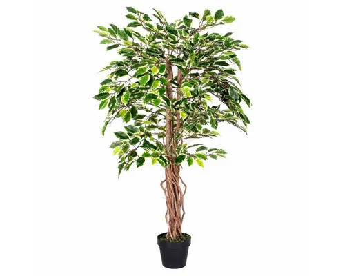 Kunstbaum Ficus Benjamini 122 cm von Homescapes - Realistischer Kunstbaum mit grün-weißen Blättern, ideal für jedes Zuhause. Pflegeleicht und benötigt kein Licht, perfekt für dunkle Ecken und sorgt für frisches Grün ohne Aufwand.