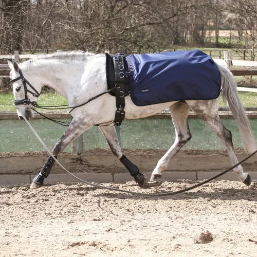 Busse Longierdecke Rain 50g - Navy, 145 - Reiten: Robuste, wind- und wasserdichte Longierdecke mit 50g Füllung für optimalen Schutz von Sattellage und Nieren während der Bodenarbeit.