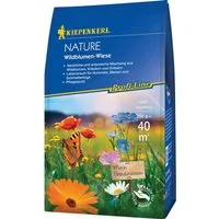 Kiepenkerl Wildblumen-Wiese Profi-Line  Nature 250 g in beige von Kiepenkerl