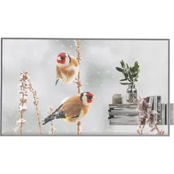 LG 55EW5P-M OLED Signage 55 Zoll