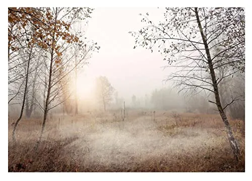 Fototapete Bäume 3D Effekt - Nebel Wald Landschaft für stilvolle Räume - Tapeten mit einzigartigem 3D-Effekt, dank hochwertigem Vliesmaterial einfach zu montieren und für eine langlebige, umweltfreundliche Wandgestaltung.