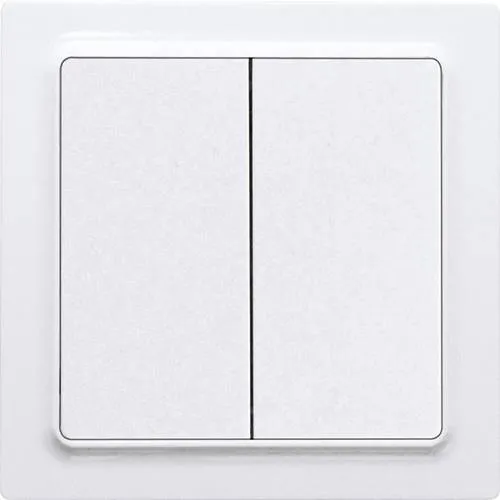 Eltako F4T55E-wg Funktaster von Eltako