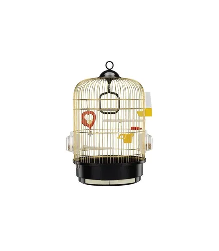 REGINA OTTONATA GABBIA