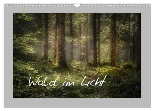 Wald im Licht (Wandkalender 2026 DIN A3 quer) - Kalender mit 12 atemberaubenden Waldmotiven aus Österreich und Südtirol, umweltfreundlich in Deutschland produziert. Ein perfektes Geschenk für Naturfreunde und ein echter Hingucker für jedes Zuhause.