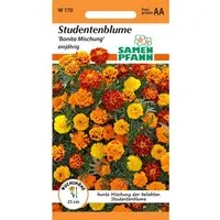 SAMEN PFANN Tagetes Bonita Mix