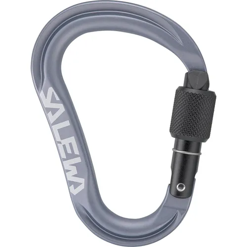 Salewa Ortles HMS M Karabiner (Größe One Size, grau)