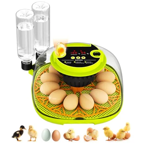 Gaethra Brutautomat Vollautomatisch 12 Eier, Inkubator Hühner mit Automatische Eierdrehung, Temperatur und Feuchtigkeitskontrolle Geeignet zum Ausbrüten von Hühner, Enten, Gänse, Wachtel