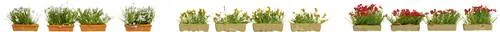 NOCH Blumenkästen blühend rot, weiß und gelb - 12er-Set für Spurweite H0, ideal zur Verschönerung Ihrer Modelllandschaft mit realistischen Details