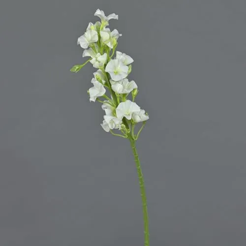 artplants.de Künstliche Blume Phlox ALSA, weiß, 35cm, Ø 5cm - Kunstblumen