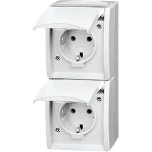 Busch-Jaeger 20-02 EW-54 Zweifachsteckdose senkrecht von Busch-Jaeger