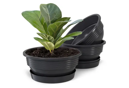 Plastard Pflanzschale Pflanzschalen mit Untersetzer Otto 3er Set Anthrazit Ø 25 cm (Set, 3 St., Pflanzschale mit Untersetzer), UV-beständig, witterungsbeständig, Optionale Drainagelöcher