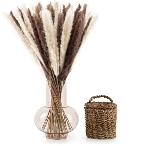 Blumtal Pampasgras groß 100 STK. Mix Natur + Weiß - Fluffige Deko für Boho-Stil - Echte Pampasgras-Deko in 58-60 cm, ideal für stilvolle Arrangements. Langlebig und pflegeleicht, bringt natürlichen Charme in jedes Zuhause. Wähle zwischen verschiedenen Sets für individuelle Dekoideen!