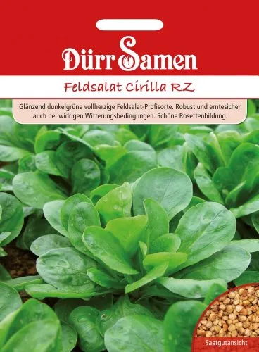 Dürr-Samen - Feldsalat Cirilla RZ Saatgut