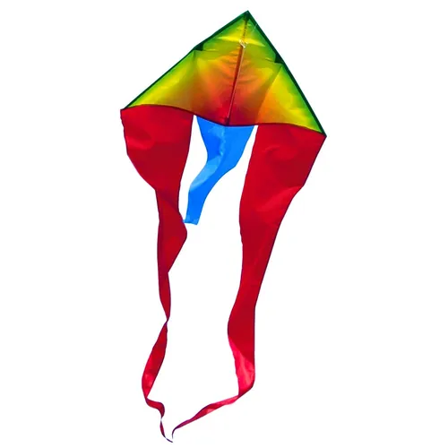 CIM Drachen F-Tail Rainbow MUSTHAVE Einleiner-Flugdrachen inkl. Drachenschnur