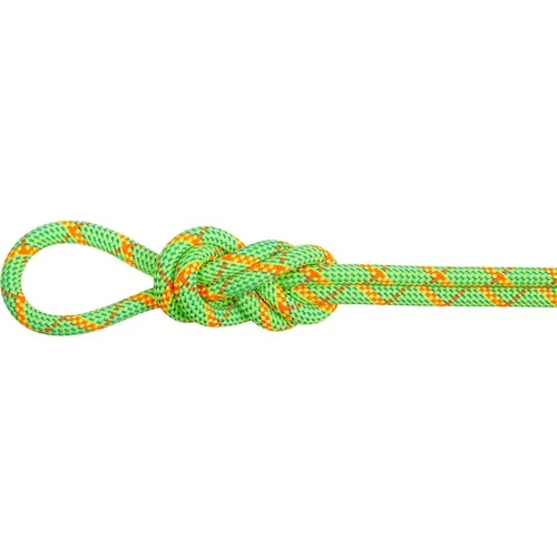 Mammut 8.0 Alpine Core Protect Dry Rope 40 m