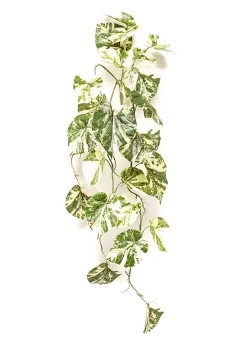 artplants Kunst Scindapsus NAVIRT auf Steckstab, grün-weiß, 90cm