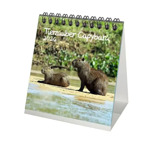 Tierzauber Capybara Tischkalender 10cm x 10cm für 2026 Schweine Schweinchen - Seelenzauber