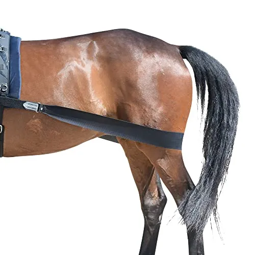 EQuest® Körper Bandage in Schwarz, Größe L - Pferdebandagen für optimalen Schutz und Unterstützung, ideal für Training und Wettkampf.