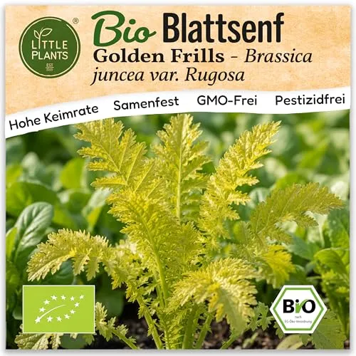 Little Plants BIO Blattsenf Samen 200 Blattsenfsamen Golden Frills Senfkohl Gemüsesamen Gemüsesaatgut Samenfest für Gemüsegarten, Hochbeet, Küche, Balkon und Garten