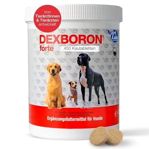 NutriLabs Kautabletten Dexboron forte 450 von NutriLabs