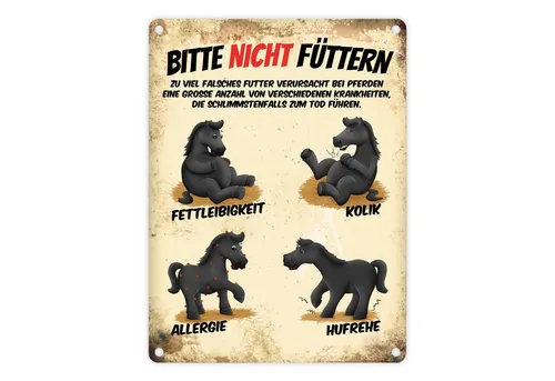 speecheese Metallschild Metallschild mit schwarze Pferde Motiv und Spruch: Bitte nicht Schild
