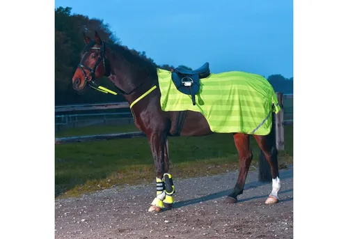 BUSSE Ausreitdecke REFLECTION - Sonstiger Pferdebedarf, reflektierend für optimale Sichtbarkeit und Sicherheit beim Ausreiten, Rückenlänge 155 cm, in auffälligem Gelb.